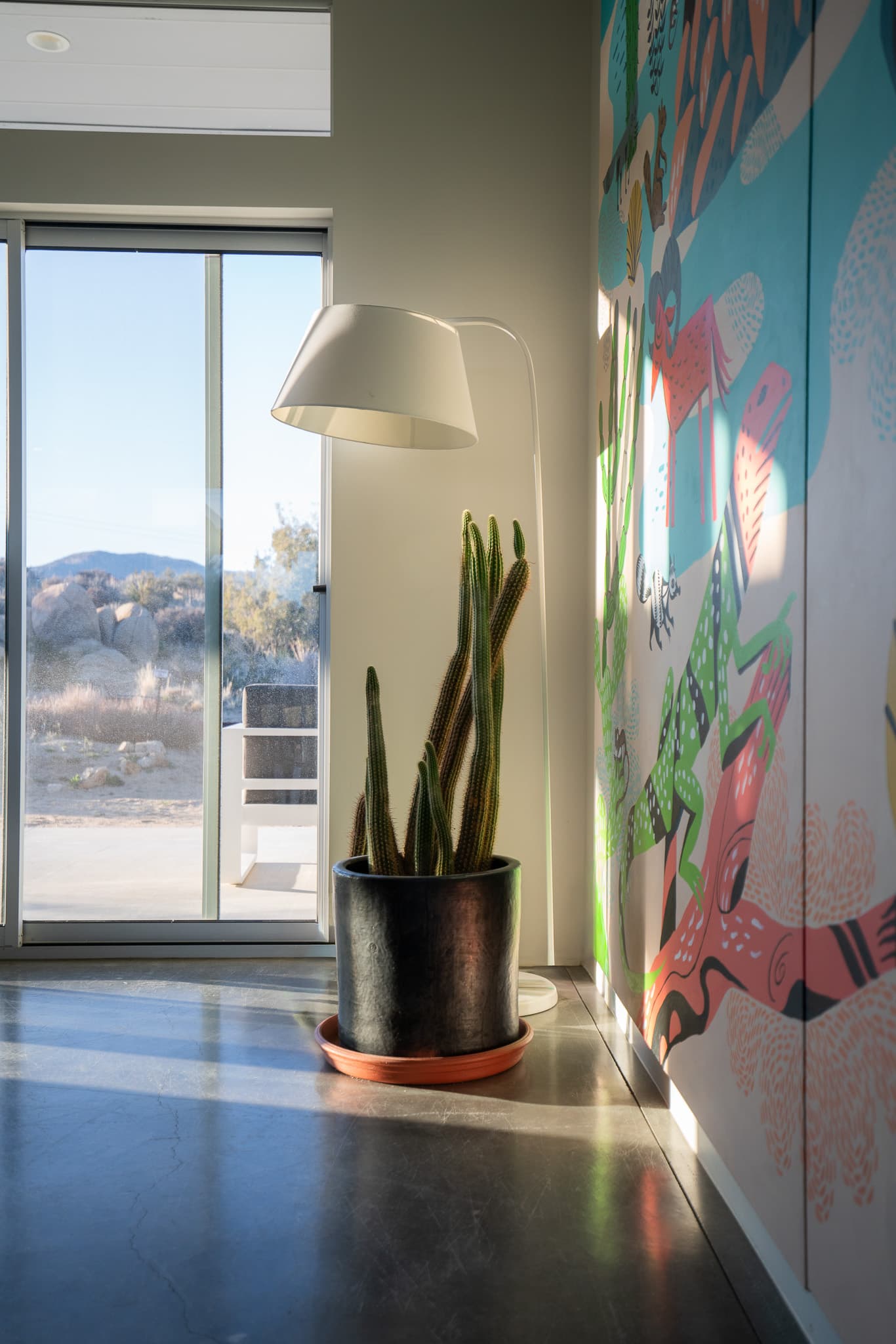 Homestead Modern campaign still