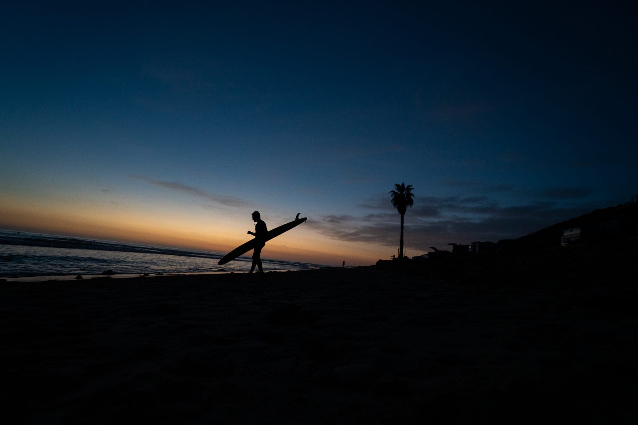 Silhouetted surfer carrying a longboard along the shoreline at dusk with a lone palm tree behind